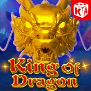 Liên hệ hỗ trợ của bwing app về chính sách quyền riêng tư