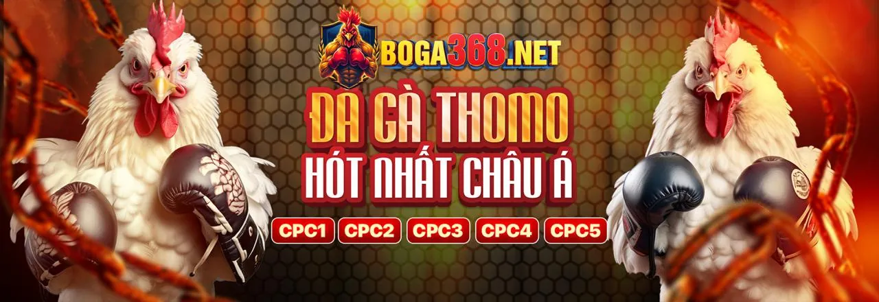 Hình ảnh kêu gọi hành động cuối cùng của bwing app